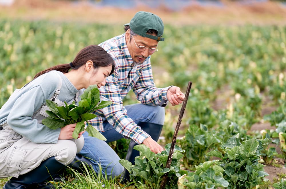 新規就農支援
