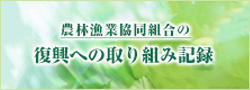 農林漁業協同組合の復興への取組み記録