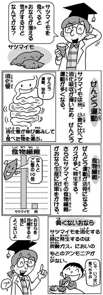 サツマイモを食べ プッ なぜ ｊａグループ福岡