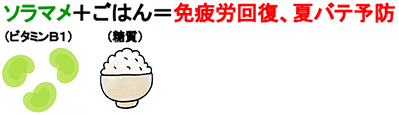 ソラマメ（ビタミンB1）＋ごはん（糖質）＝免疲労回復、夏バテ予防